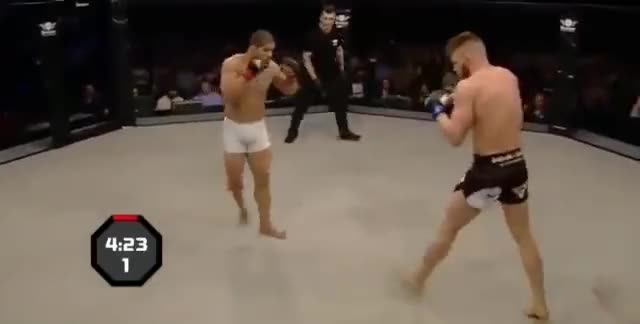 Meek/Palhares