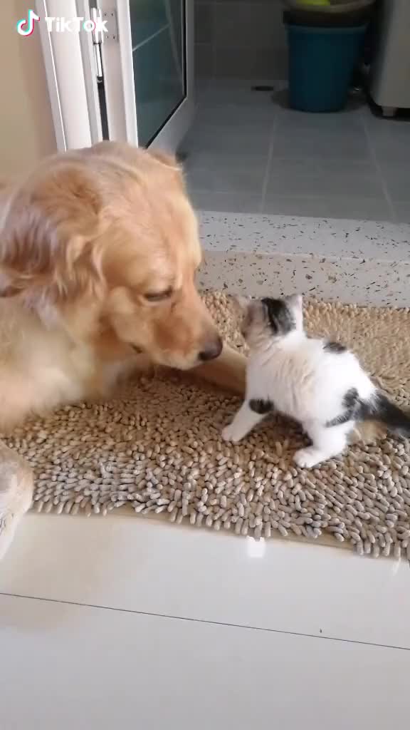 Brother and the little sisiter