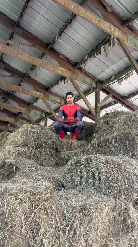 Your friendly neighborhood web slinger