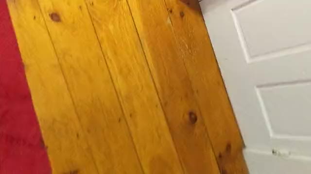 Anal Dildo clip