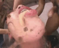 Asian Blowbang Forced Gangbang Japanese Messy Slave clip