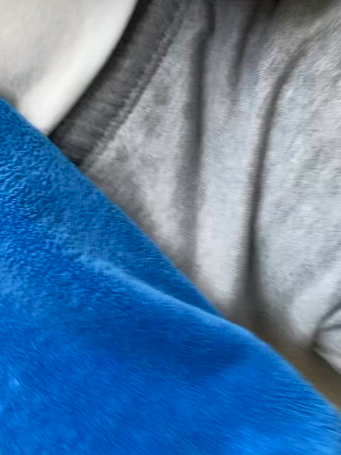 bulge bulgexxl cock thick cock clip