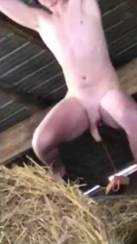 Amateur American BDSM Big Balls Big Dick Blowjob Funny Porn Naked Outdoor clip