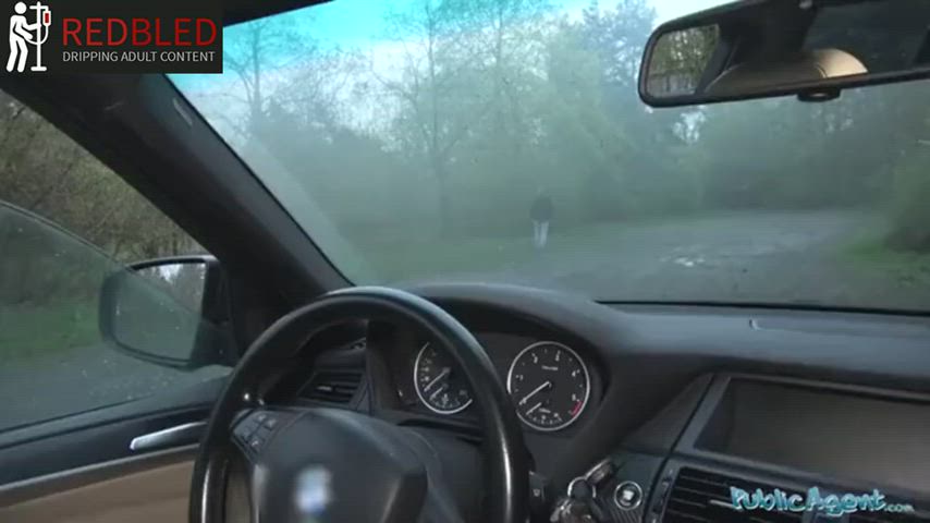 Car Sex Hardcore Pornstar clip