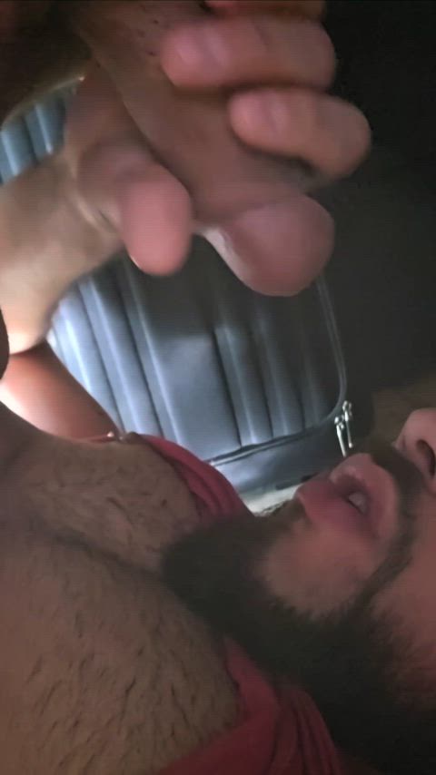 š¦š¦š¦š