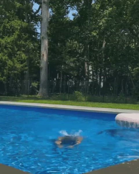 asian bikini pool clip