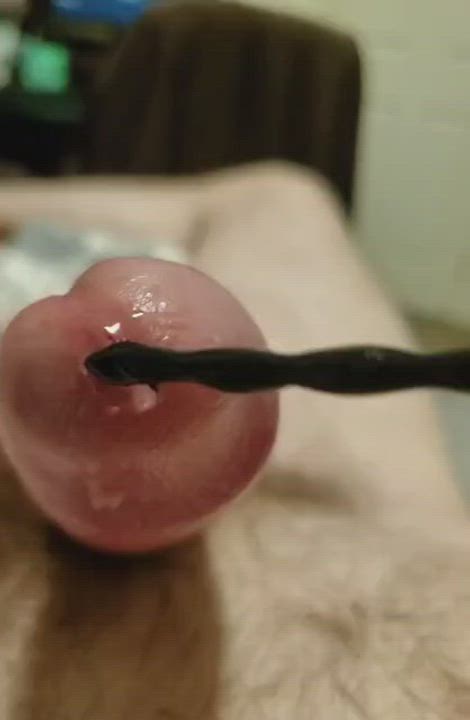 Penis Solo Toy clip