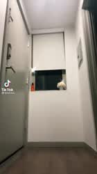 Homemade Teen TikTok clip