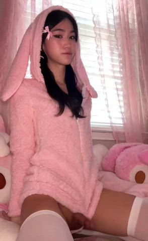 bouncy rabbit π°π