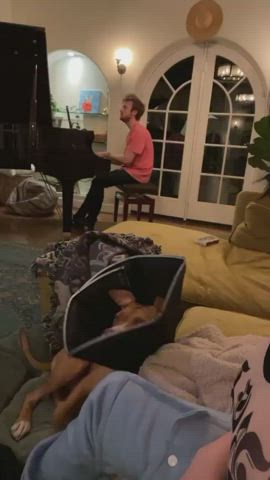 Celebrity Boobs Cleavage clip