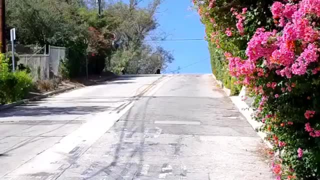 clip