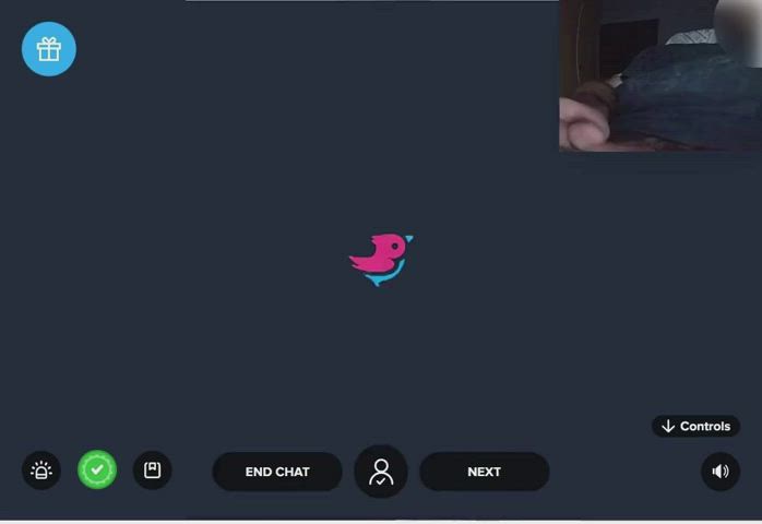 BWC Cam Camgirl Flashing Monster Cock Surprise Webcam clip