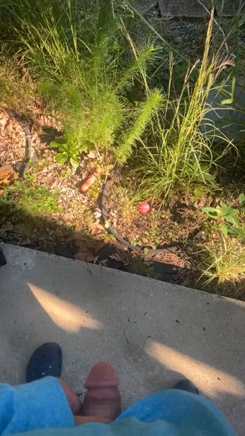 Watering the grass ๐ฆ๐ฟ