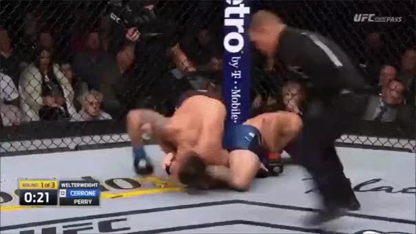 cerrone