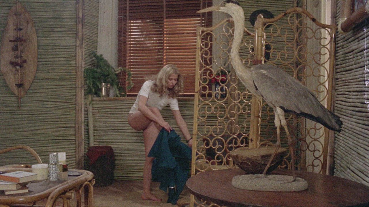 Celebrity Cinema Italian Nudity clip