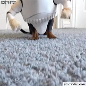 6f4270dfc9c9d27d6e795e7247b83a36.gif