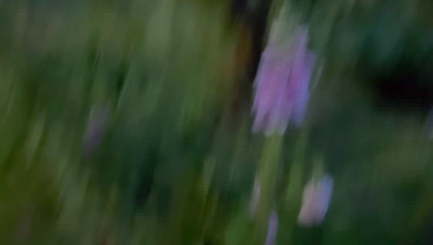 exhibitionist outdoor sissy sissy slut clip