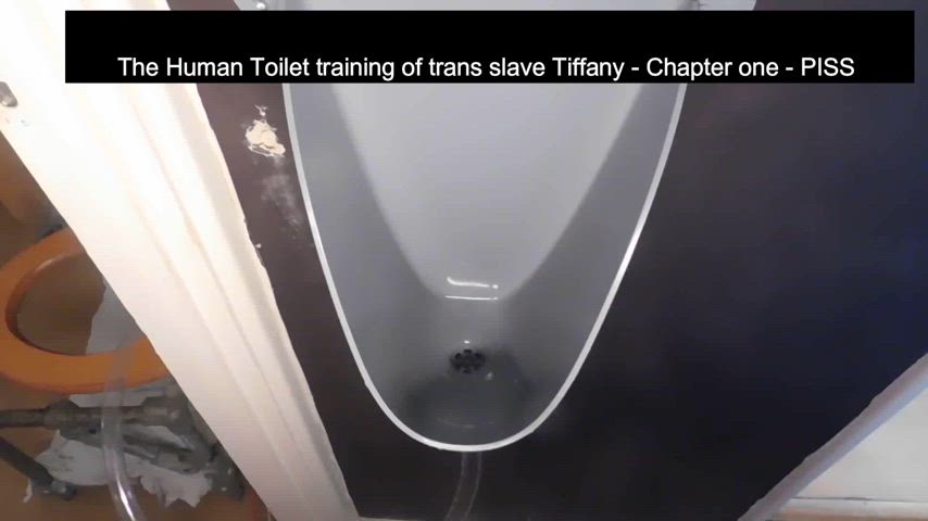 piss submissive toilet trans watersports clip