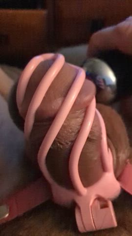 Cuckold GIF by unitedjuggernaut