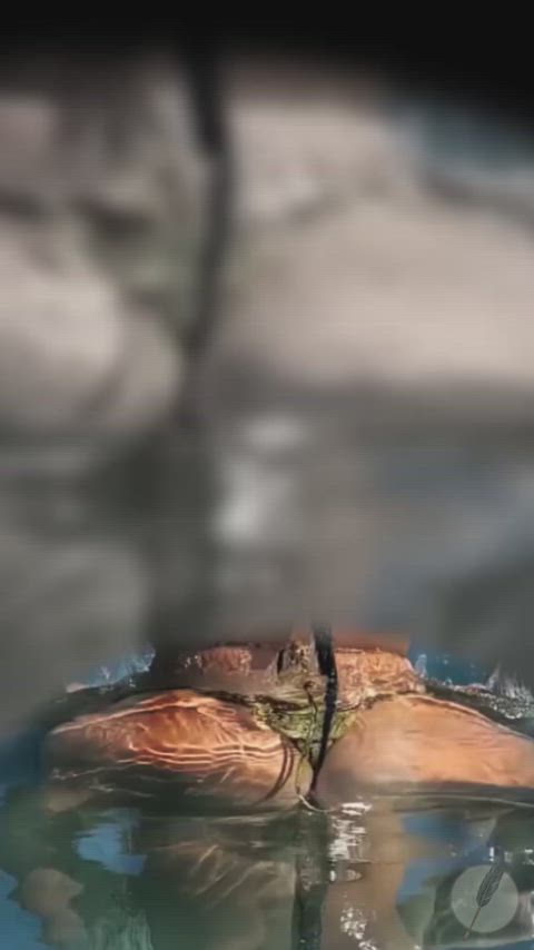 big ass erotica exquisite erotic lesbian clip