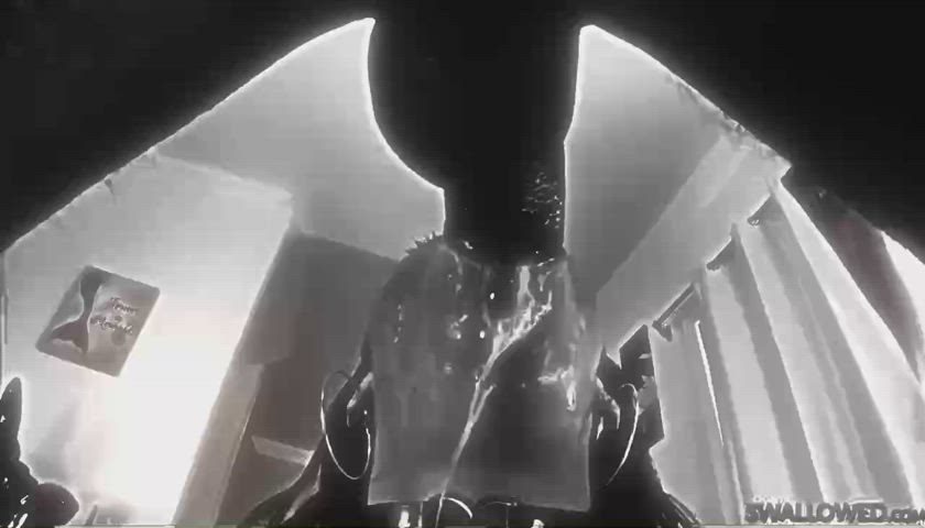Adriana Chechik Cum In Mouth Cum Swallow Monster Cock Swallowing clip