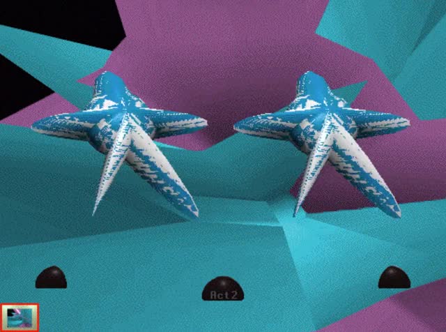 Amateur Night Stars