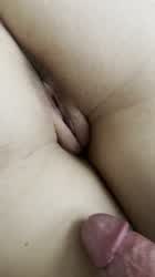 Cock Creamy Pussy clip