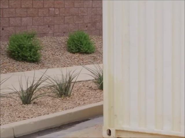 Big Dick Blowjob NSFW clip