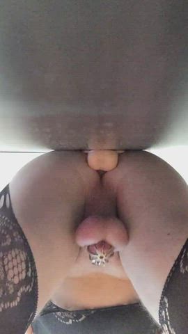 Anal Chastity Stockings clip