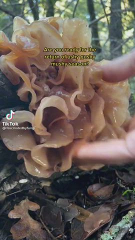 Fetish Food Fetish Funny Porn clip