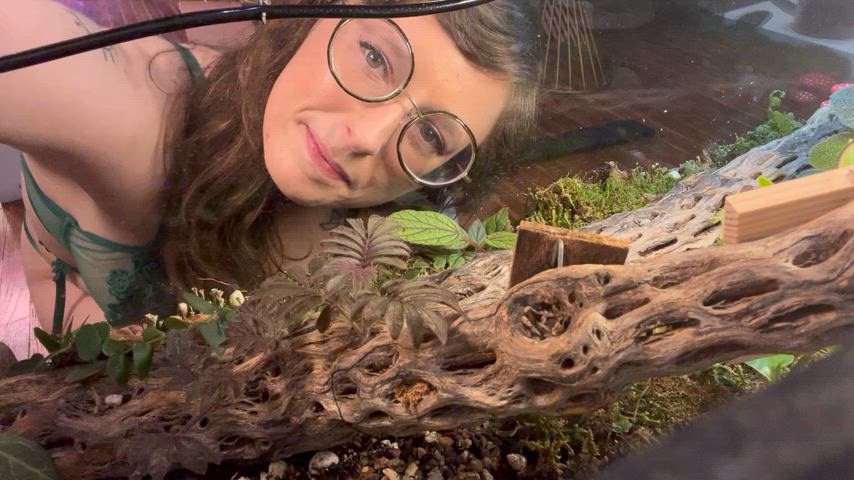tits on glass gif: terrarium edition