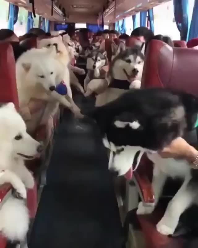 riding clip