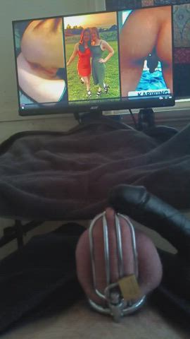 chastity interracial sissy clip