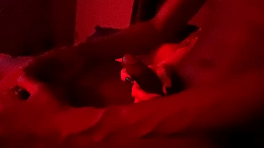 femdom sensual toes clip