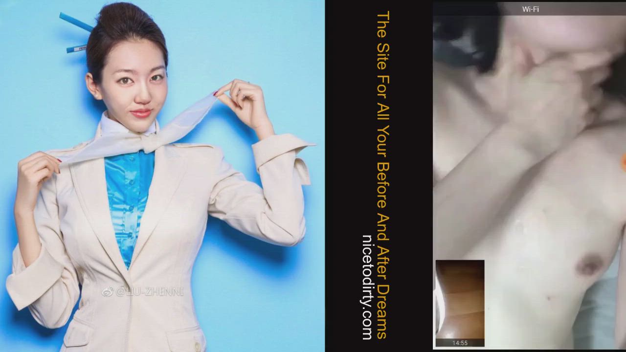 Stewardess clip