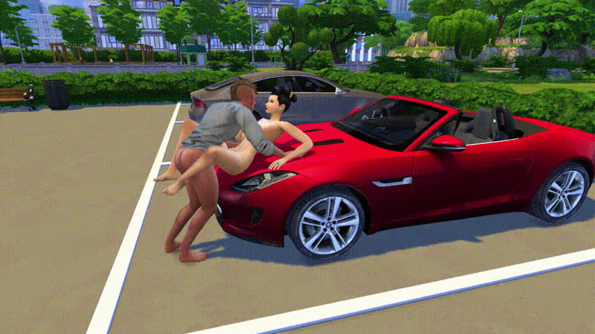 Car Sex clip