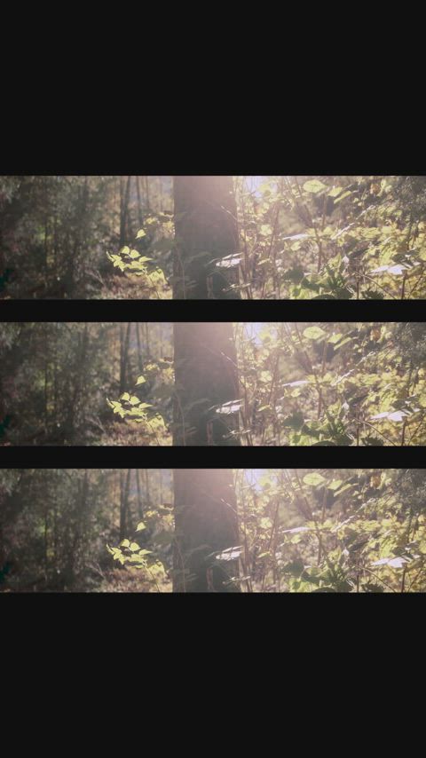 beautiful outdoor sfw clip
