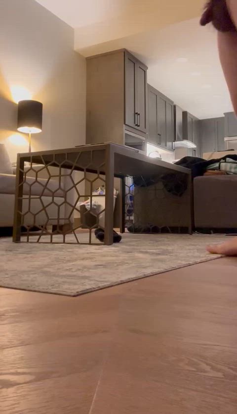 Carpets ruined eh?