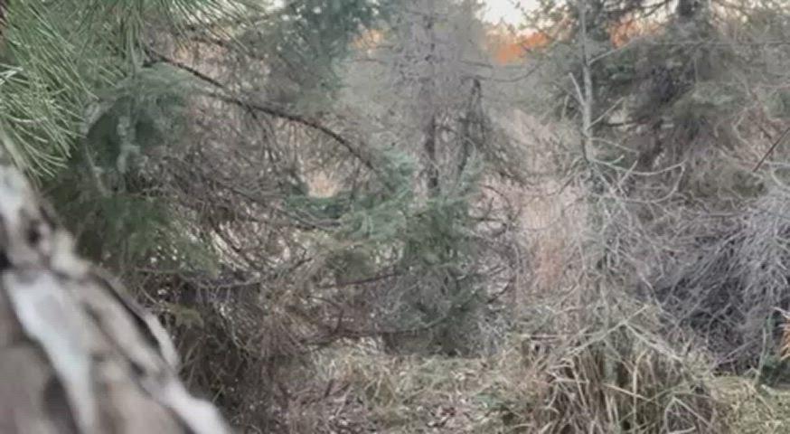 cock cumshot outdoor massive-cock clip