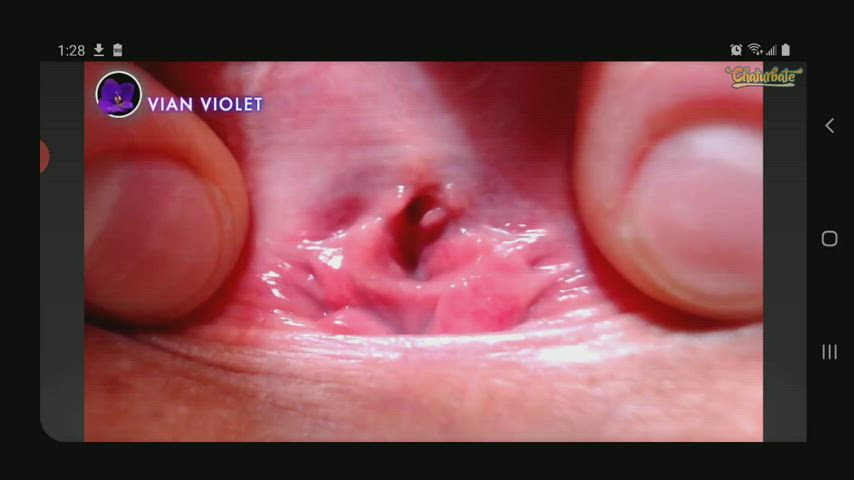 Clit Pussy Pussy Lips clip