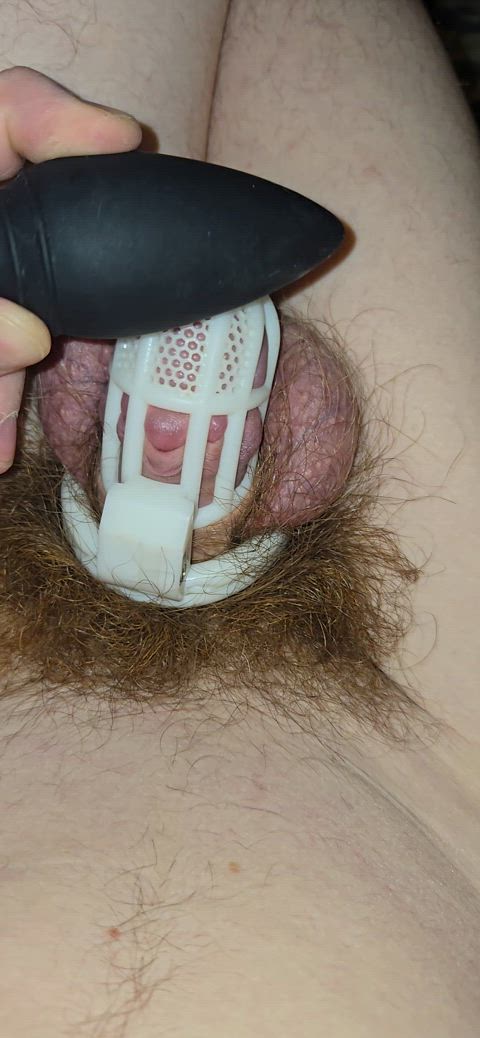chastity femdom gay masturbating sissy twink clip