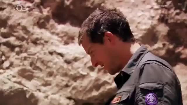 Bear Grylls