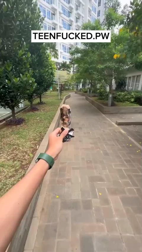 asian blowjob hijab homemade indo indonesian clip