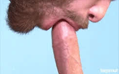 Lick and Suck it!