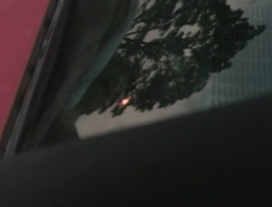 Blowjob Brunette Vintage clip