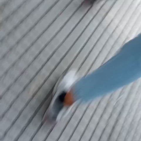ass candid teen clip