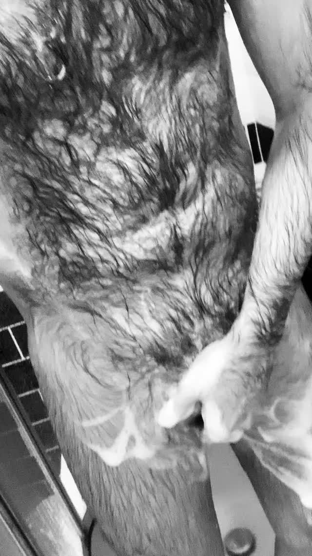 OtterintheShower