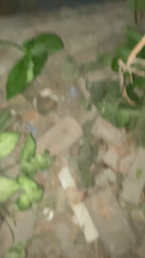 gay public r/caughtpublic clip