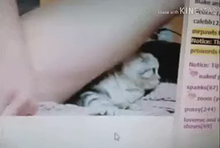 catsuit pussy pussy spread clip