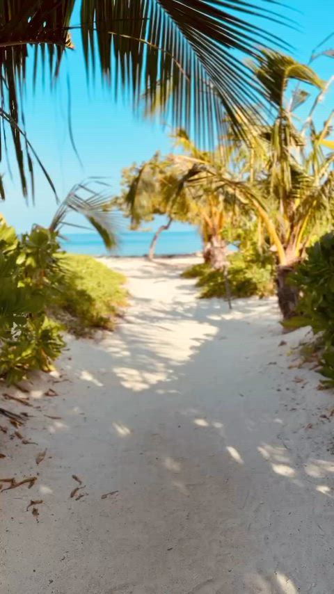 celebrity sexy swimsuit clip